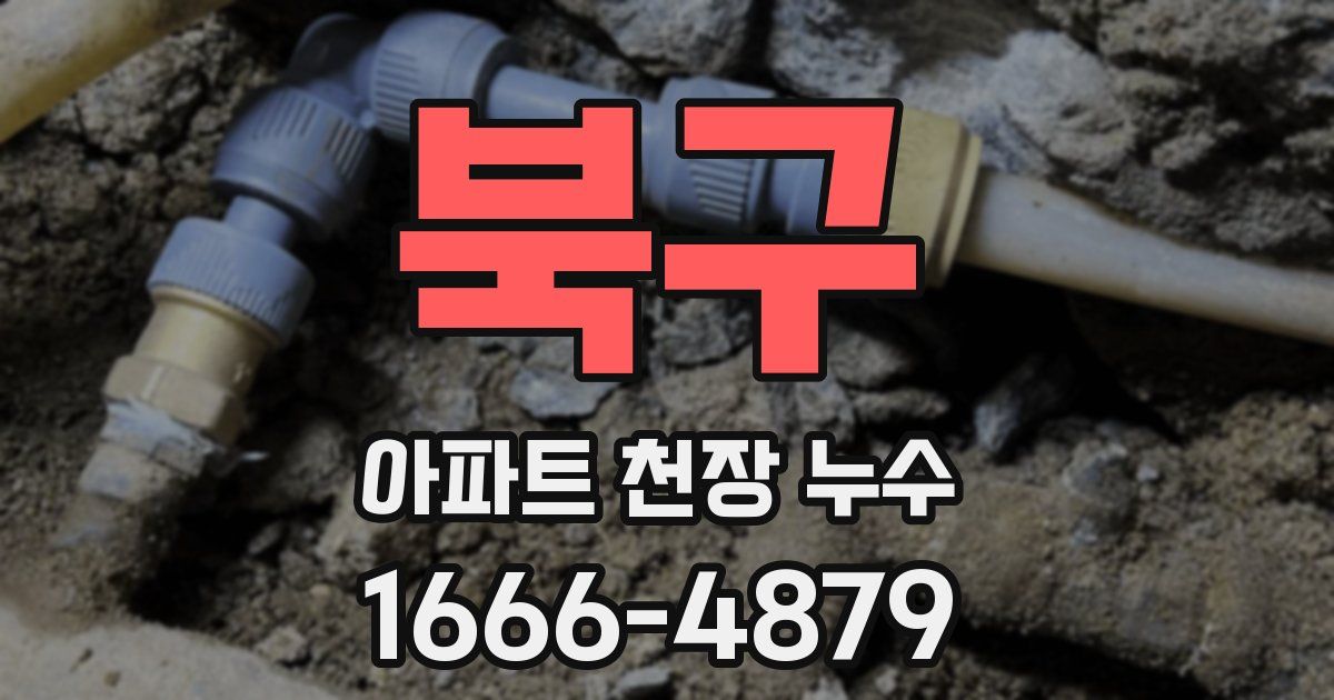 북구 아파트 천장 누수