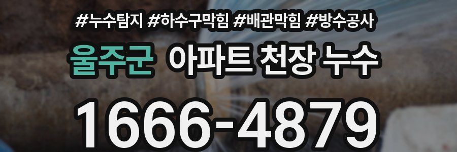 울주군 아파트 천장 누수