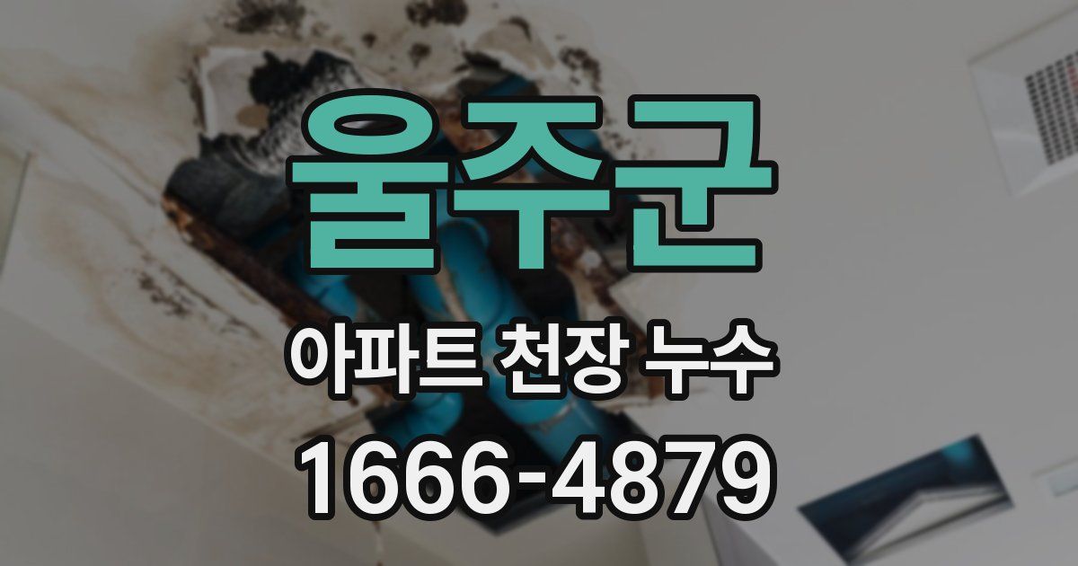 울주군 아파트 천장 누수