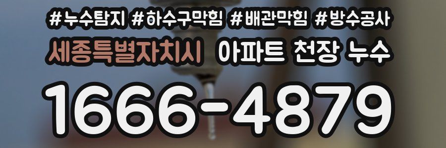 세종특별자치시 아파트 천장 누수