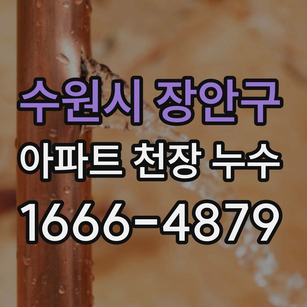 수원시 장안구 아파트 천장 누수