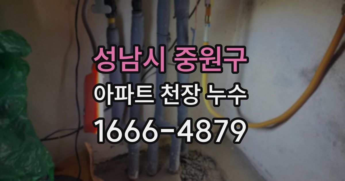 성남시 중원구 아파트 천장 누수