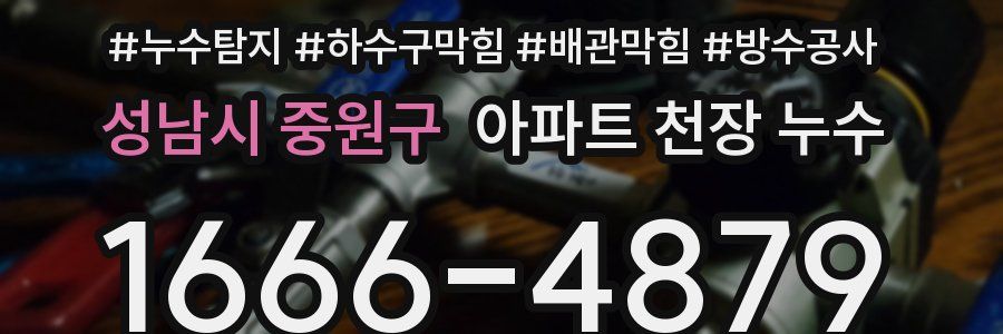 성남시 중원구 아파트 천장 누수