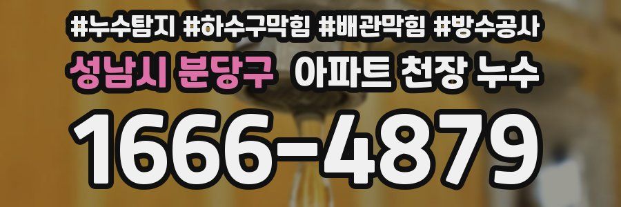 성남시 분당구 아파트 천장 누수