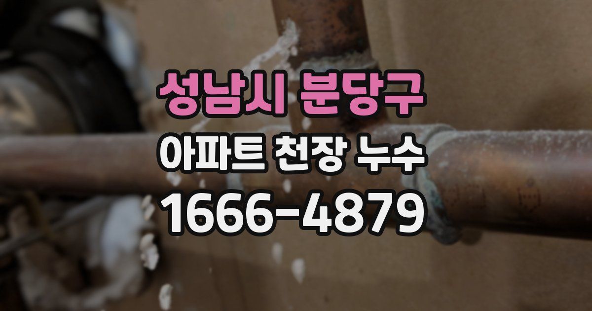 성남시 분당구 아파트 천장 누수