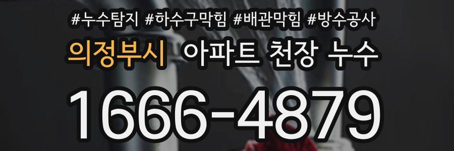의정부시 아파트 천장 누수