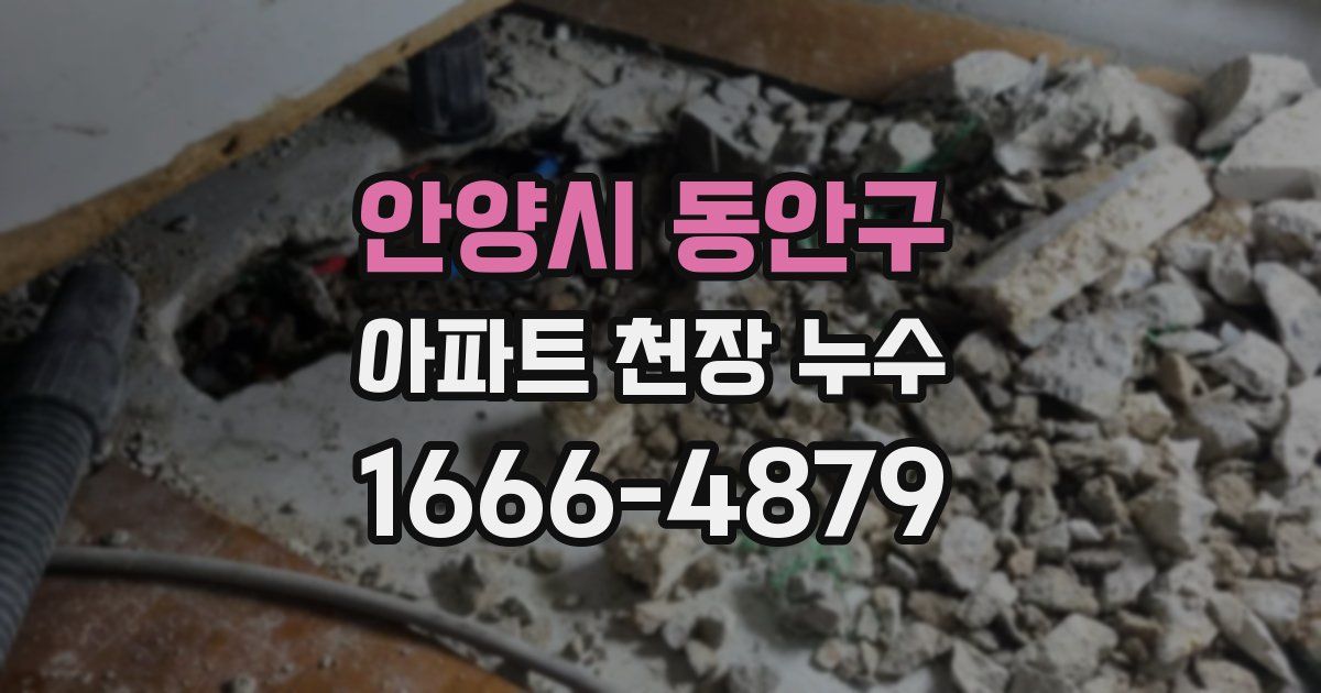 안양시 동안구 아파트 천장 누수
