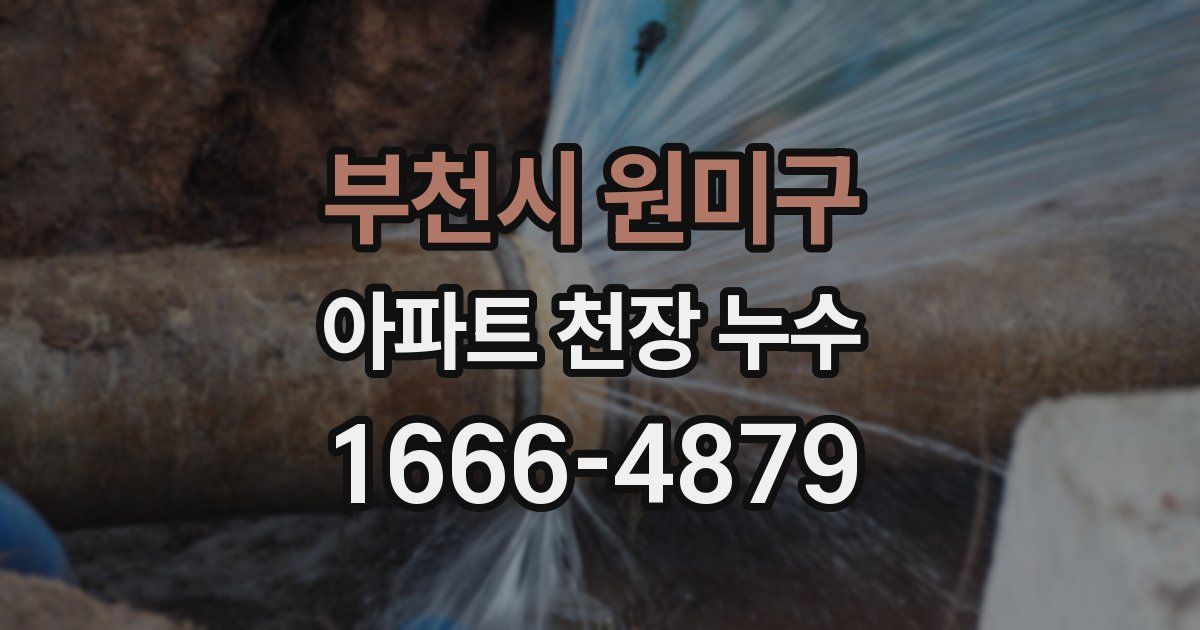 부천시 원미구 아파트 천장 누수