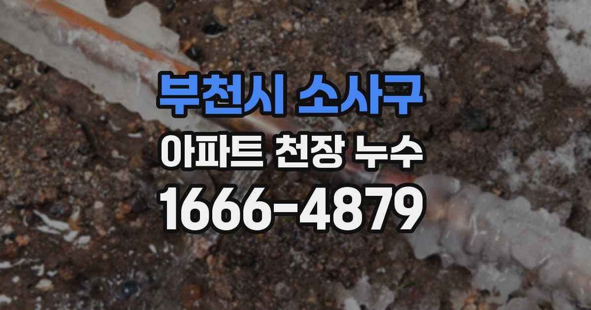 부천시 소사구 아파트 천장 누수