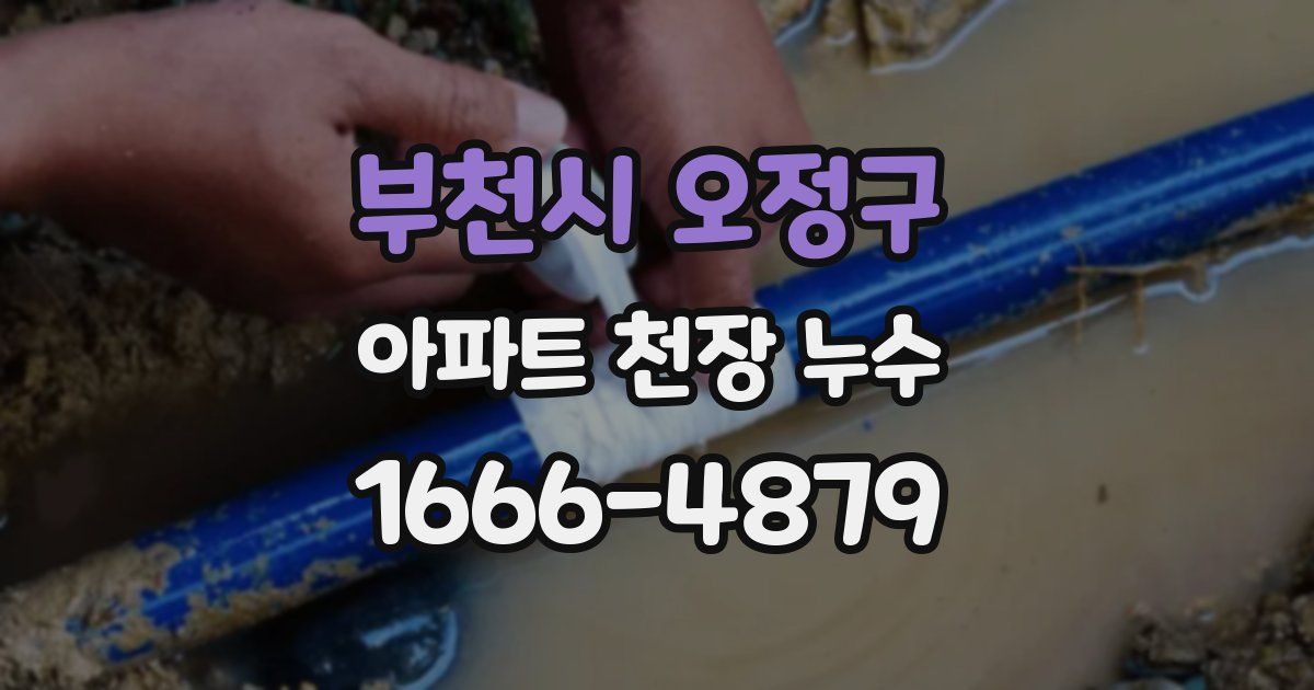 부천시 오정구 아파트 천장 누수