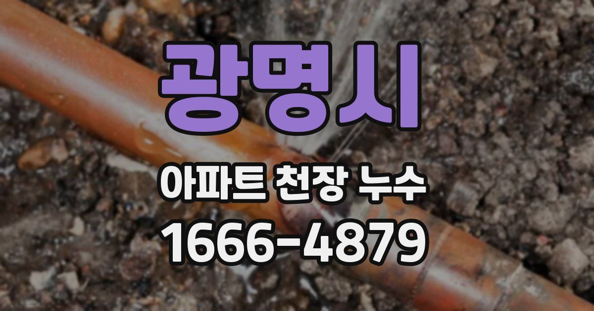 광명시 아파트 천장 누수