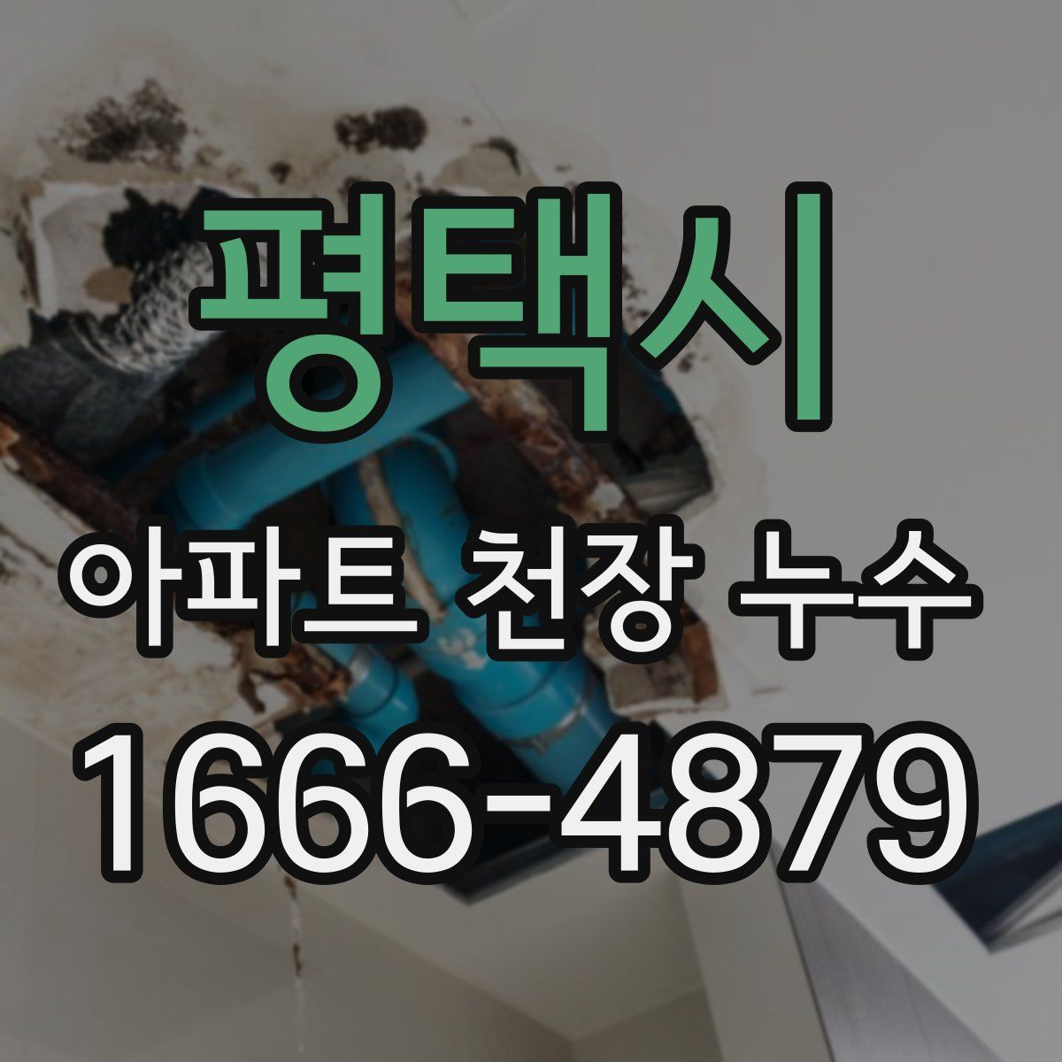 평택시 아파트 천장 누수