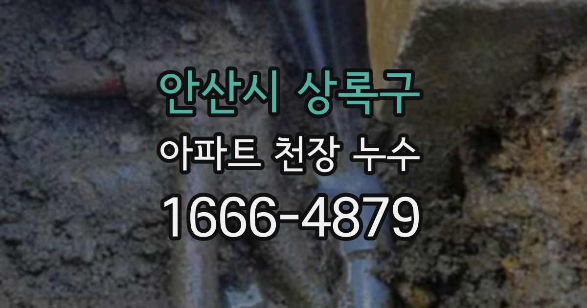 안산시 상록구 아파트 천장 누수