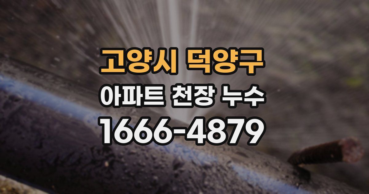 고양시 덕양구 아파트 천장 누수