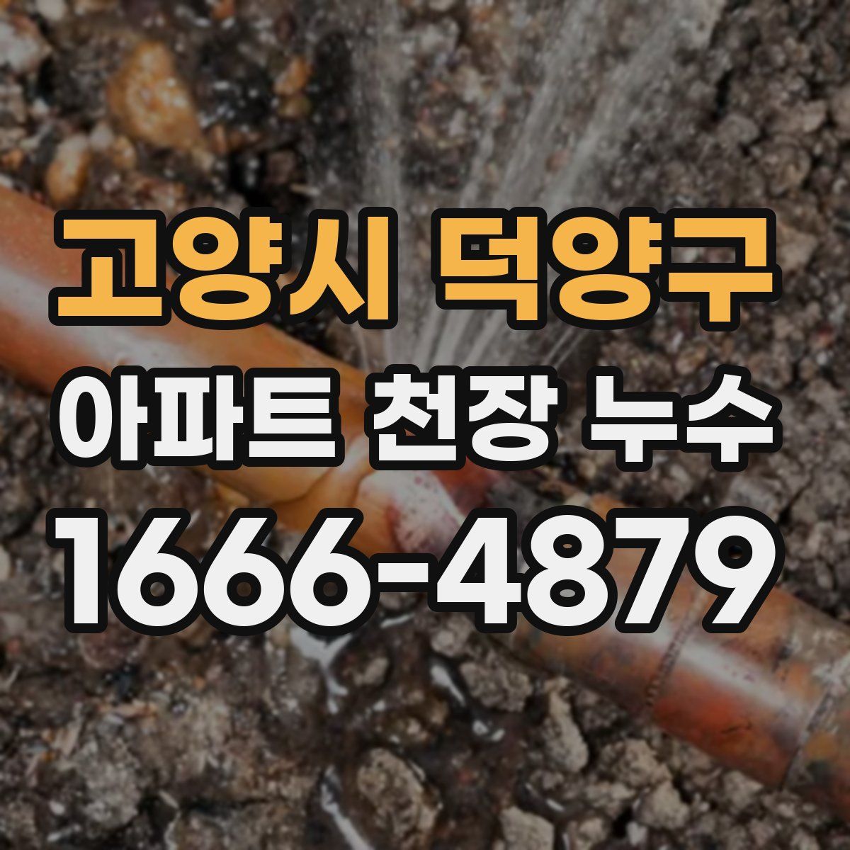 고양시 덕양구 아파트 천장 누수