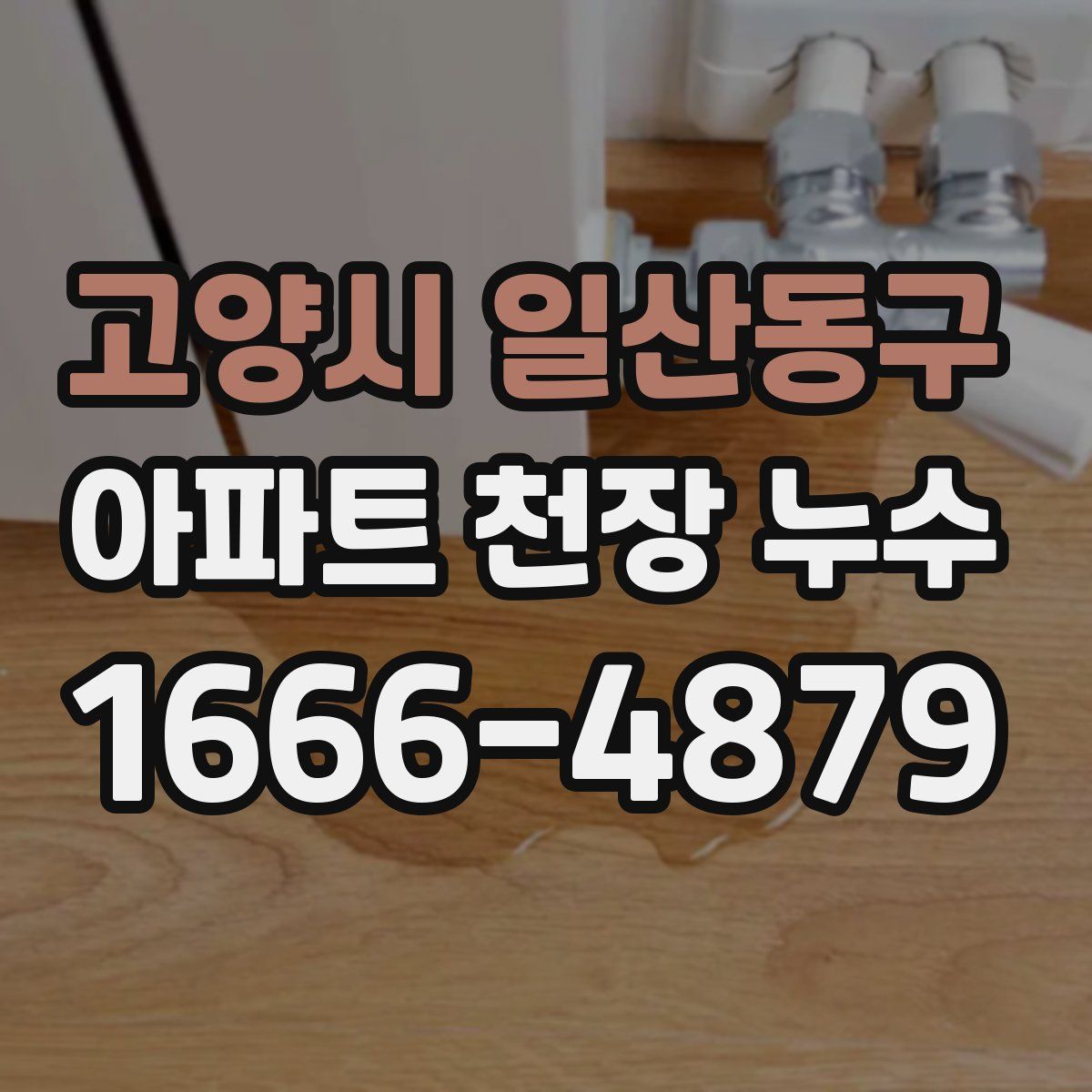 고양시 일산동구 아파트 천장 누수