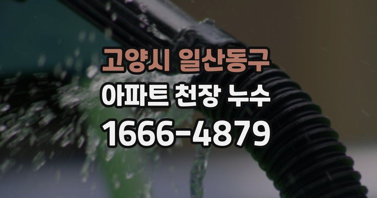 고양시 일산동구 아파트 천장 누수