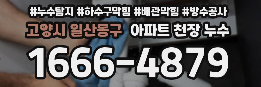 고양시 일산동구 아파트 천장 누수