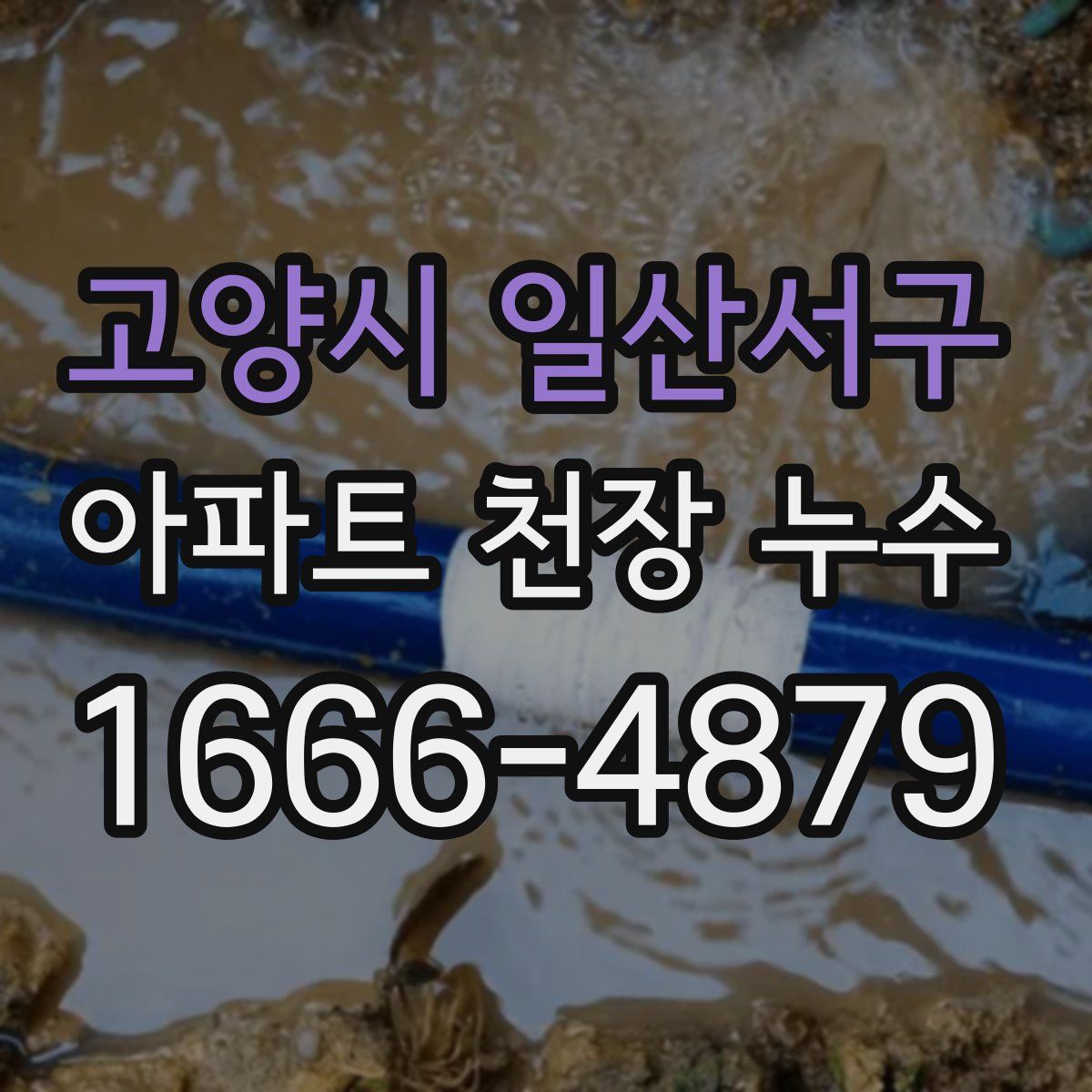 고양시 일산서구 아파트 천장 누수