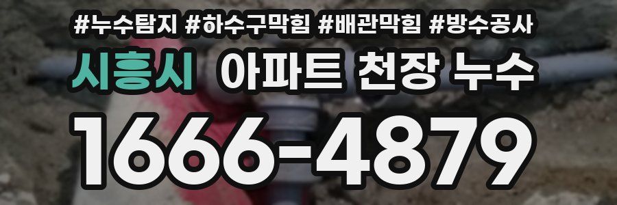 시흥시 아파트 천장 누수