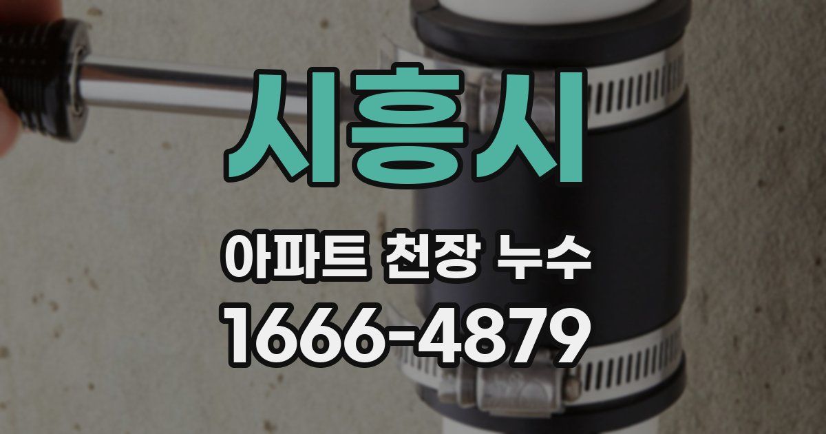 시흥시 아파트 천장 누수