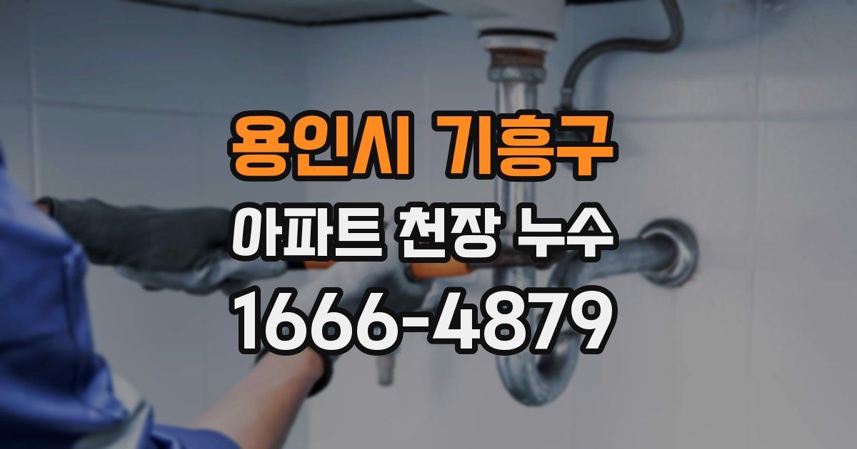 용인시 기흥구 아파트 천장 누수