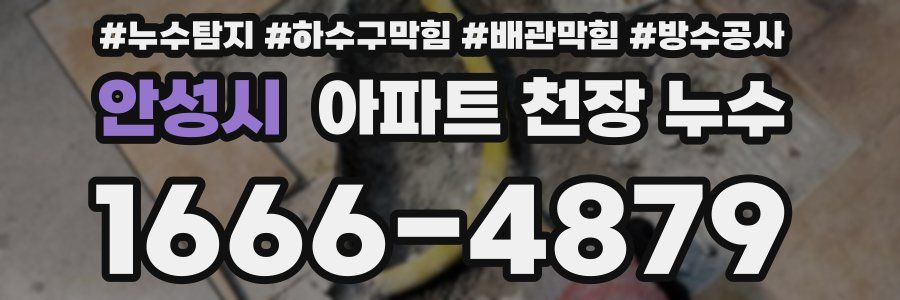 안성시 아파트 천장 누수