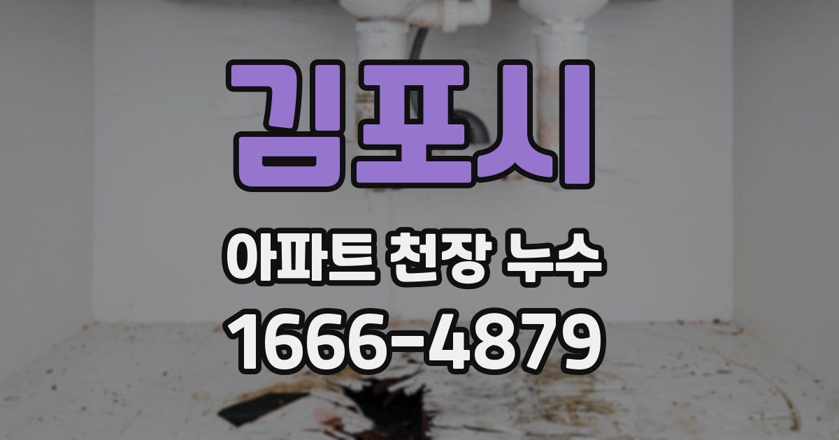 김포시 아파트 천장 누수