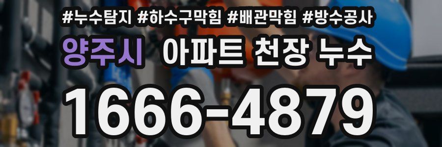 양주시 아파트 천장 누수