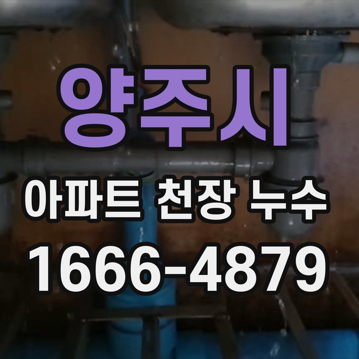 양주시 아파트 천장 누수