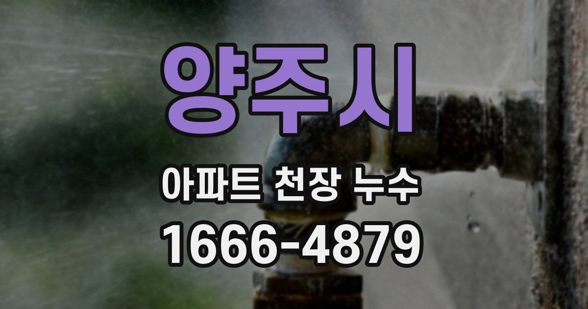 양주시 아파트 천장 누수
