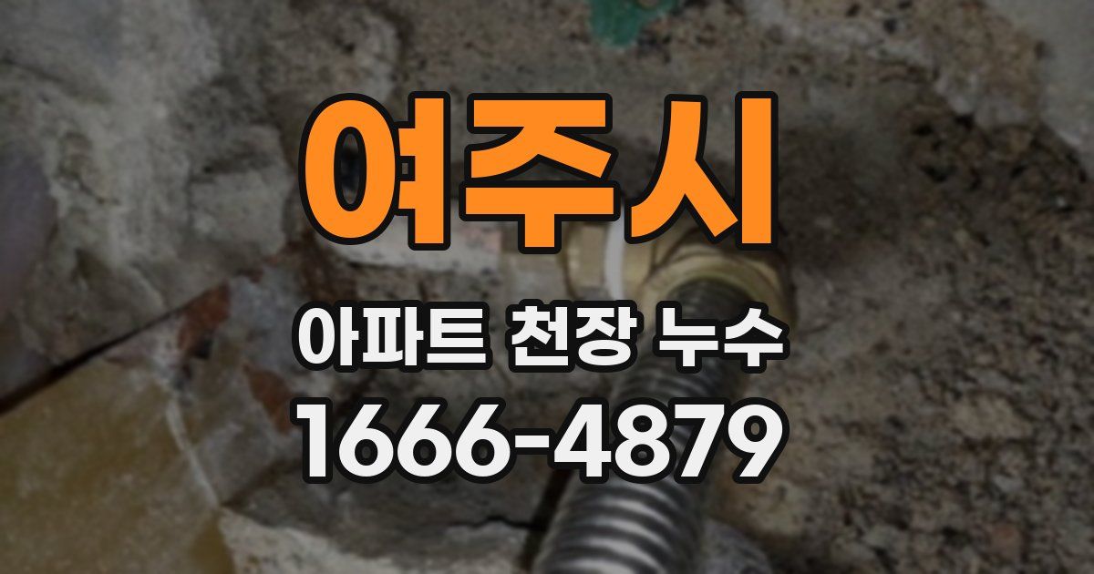 여주시 아파트 천장 누수
