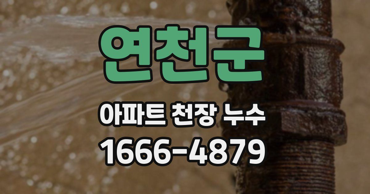 연천군 아파트 천장 누수