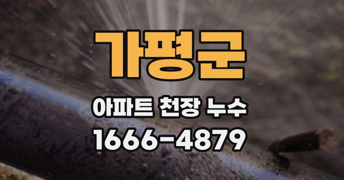 가평군 아파트 천장 누수
