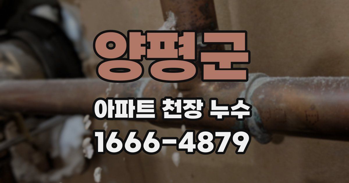 양평군 아파트 천장 누수