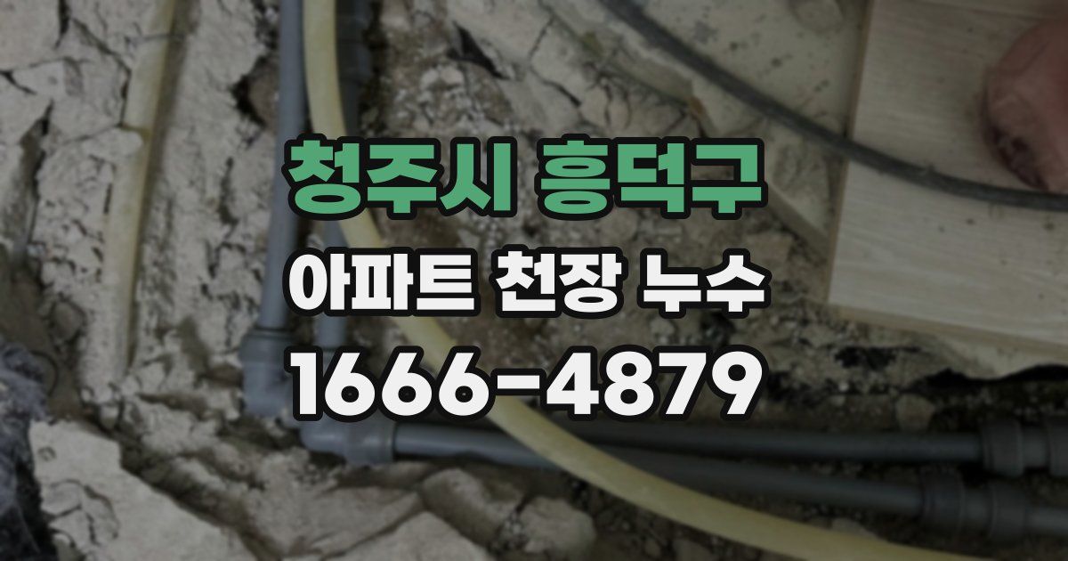 청주시 흥덕구 아파트 천장 누수