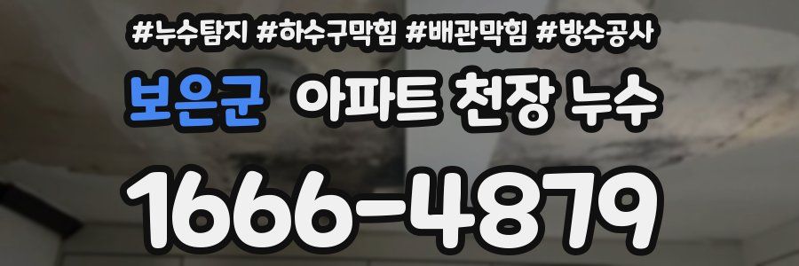 보은군 아파트 천장 누수