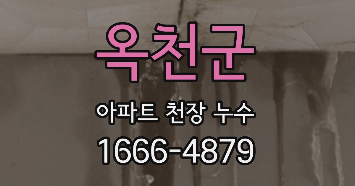 옥천군 아파트 천장 누수