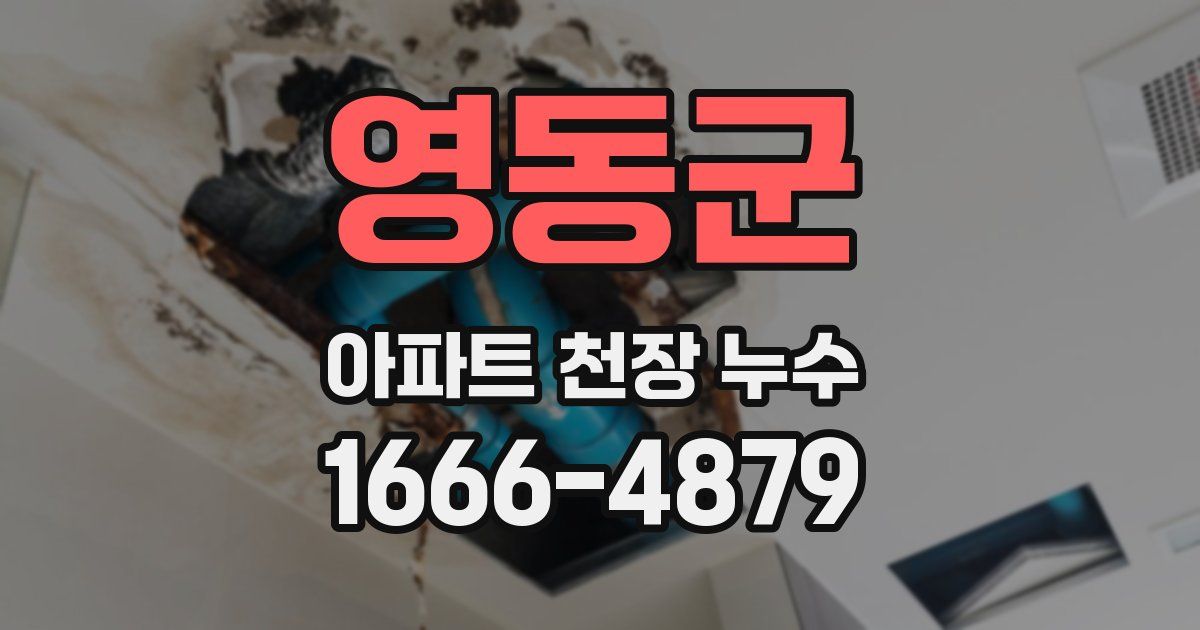 영동군 아파트 천장 누수