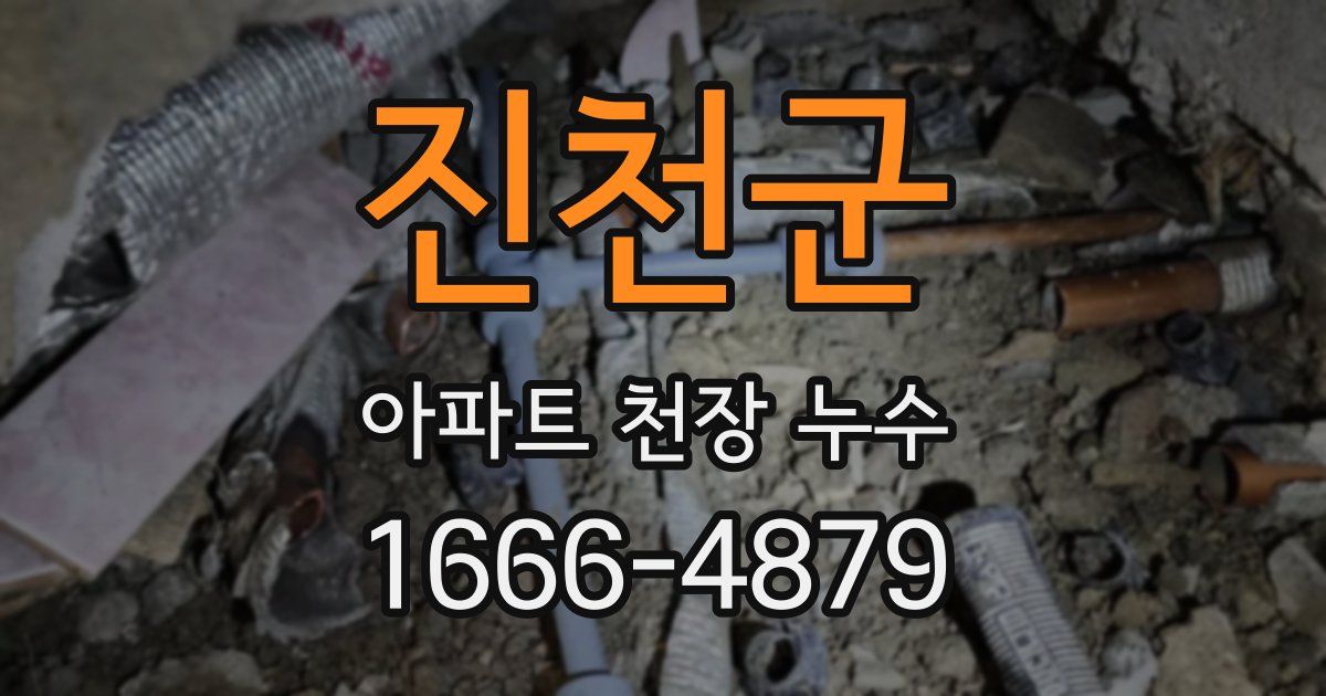 진천군 아파트 천장 누수