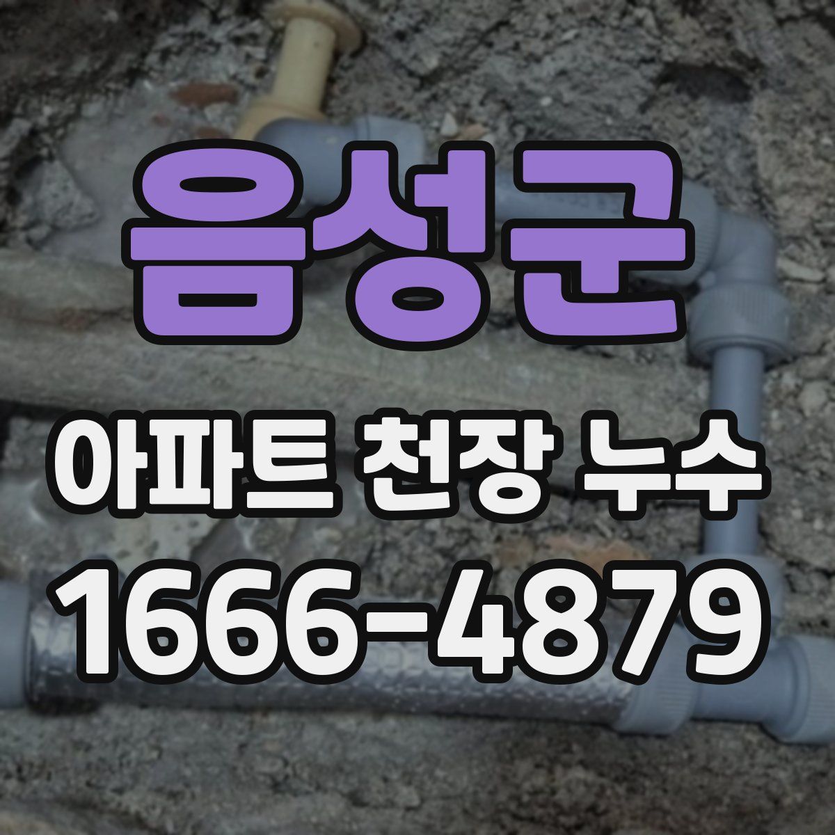 음성군 아파트 천장 누수