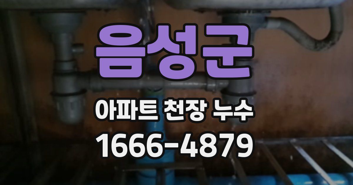 음성군 아파트 천장 누수