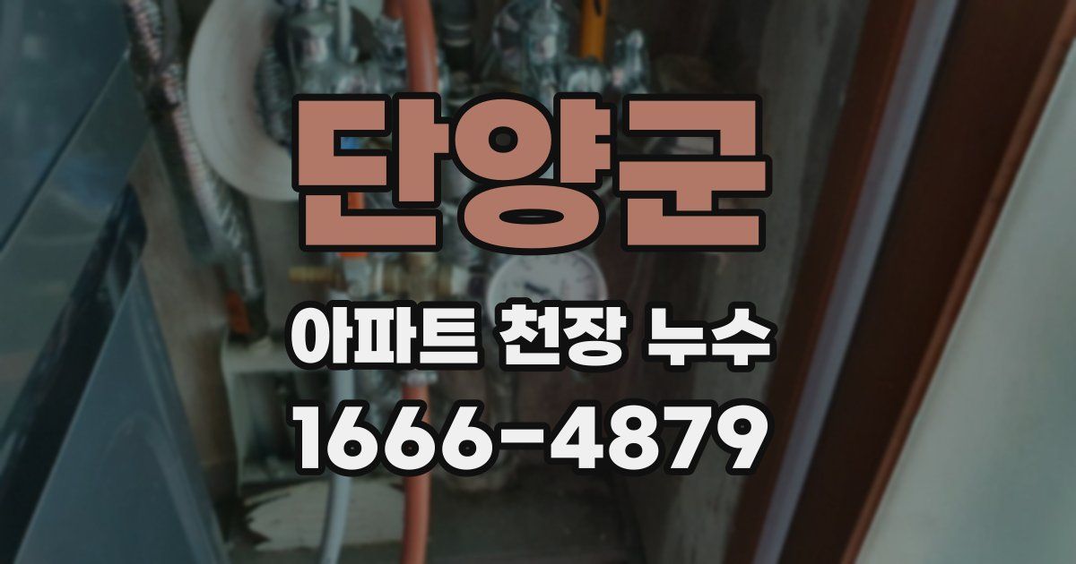 단양군 아파트 천장 누수