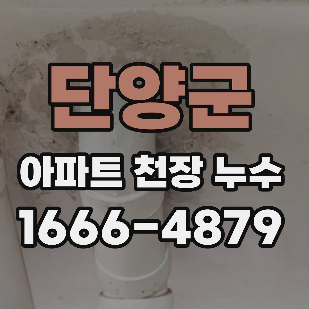 단양군 아파트 천장 누수