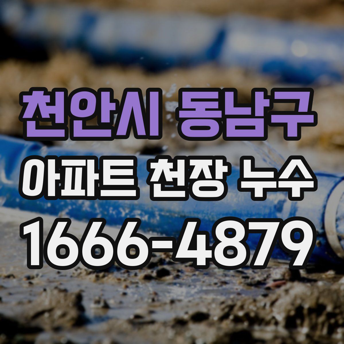 천안시 동남구 아파트 천장 누수