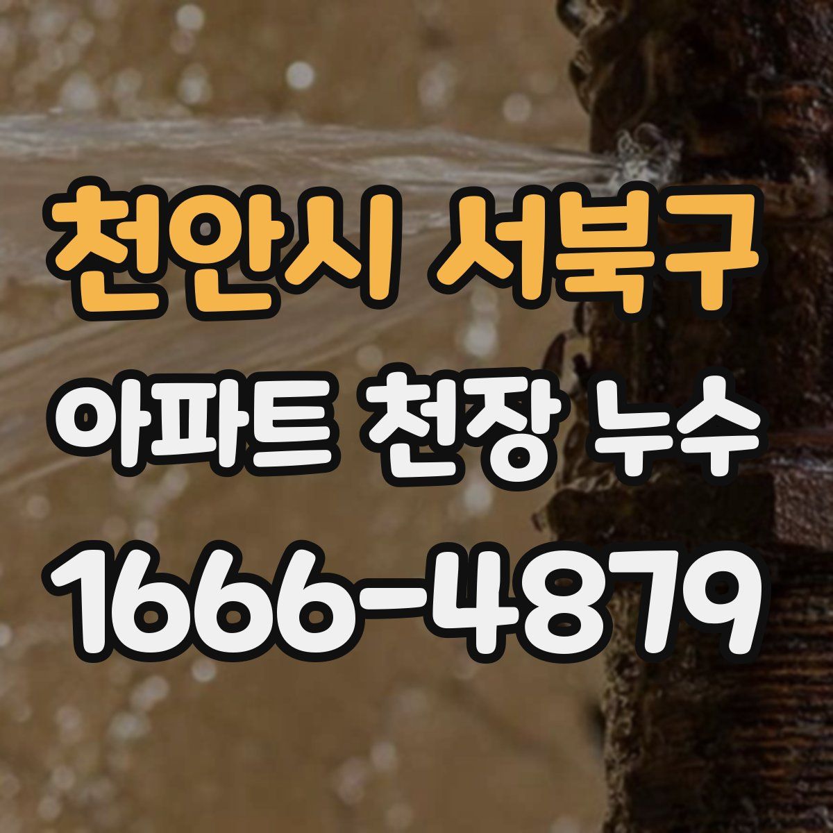 천안시 서북구 아파트 천장 누수