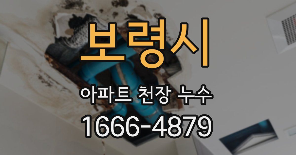 보령시 아파트 천장 누수