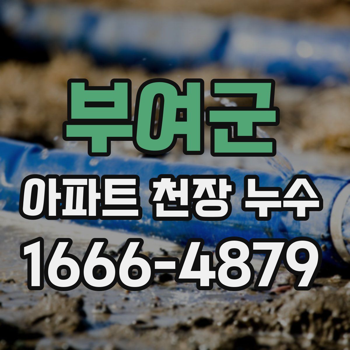 부여군 아파트 천장 누수
