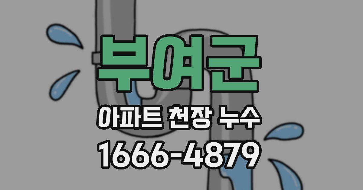 부여군 아파트 천장 누수