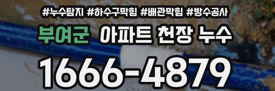 부여군 아파트 천장 누수